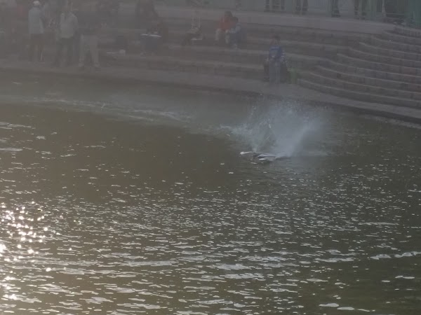 見下文