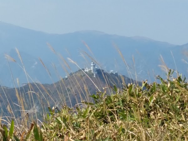 見下文
