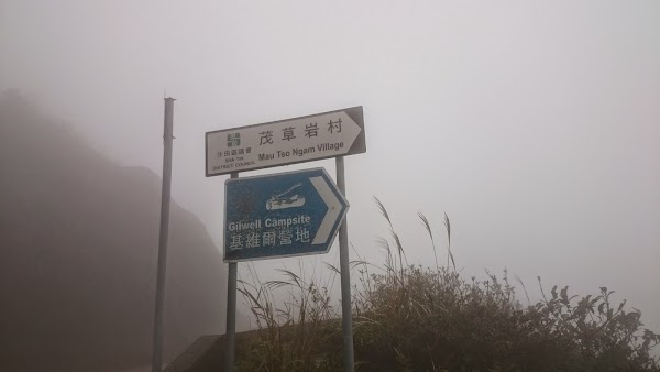 見下文