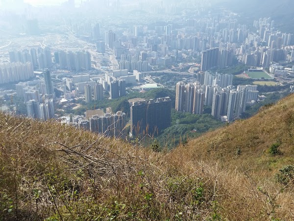 見下文
