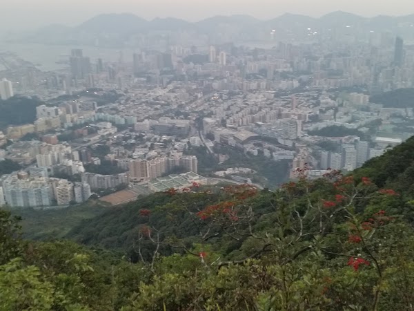 見下文