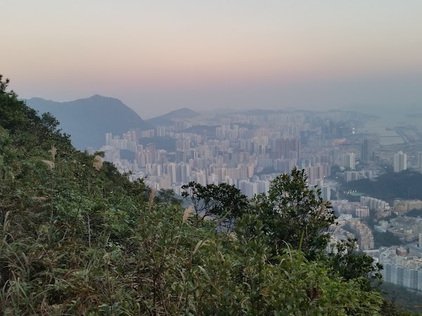 見下文