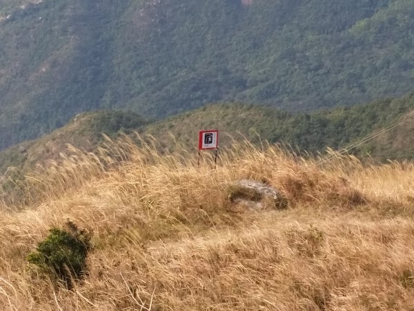 見下文