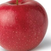 apple2.jpg