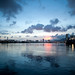 20100711-_DSC2538