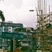 41670030