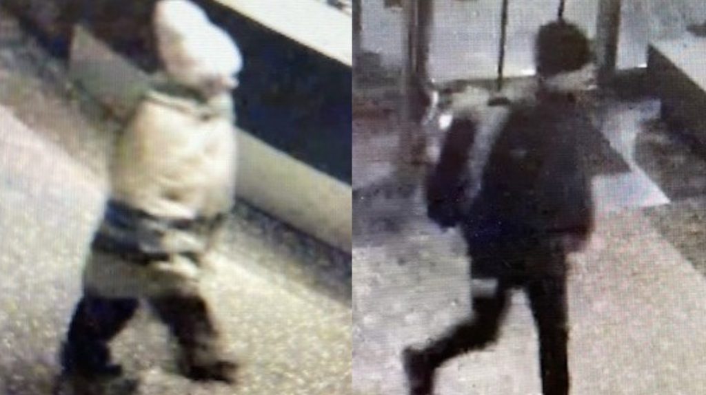 Toronto pickpockets