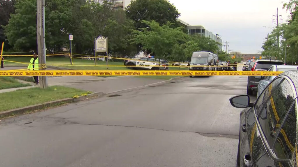 Toronto police investigating after one person was struck and killed by a vehicle following an early morning fight in North York