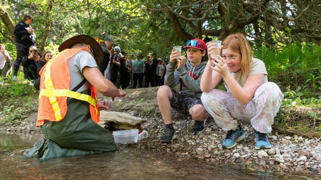 Ben Teskey, left, co-ordinator of the Lake Ontario Atlantic Salmon Restoration Program, helps Grade 6 Sunderland Public School students Caleb Snoddon, centre, and Charlotte Aston, right, as their class releases 93 salmon into Duffins Creek in Ajax, Ont.