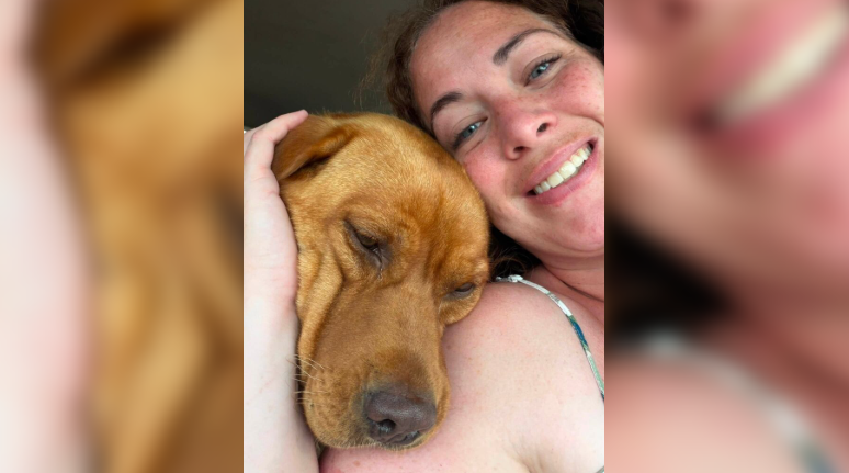 Willow the dog back home with owner Becky Popiolek