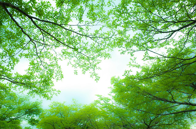 20150516-R0000850