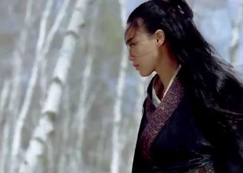 the assassin