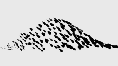 a bell curve