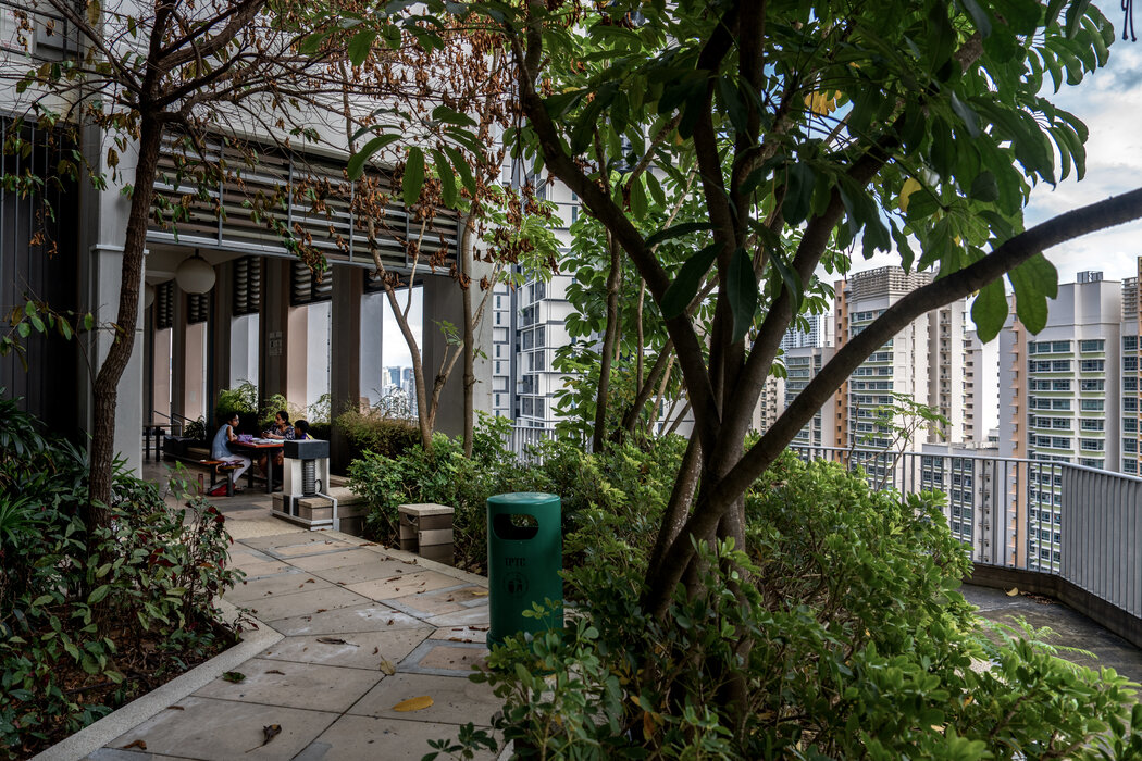 SkyVille@Dawson的公共空間被樹木和灌木環繞。