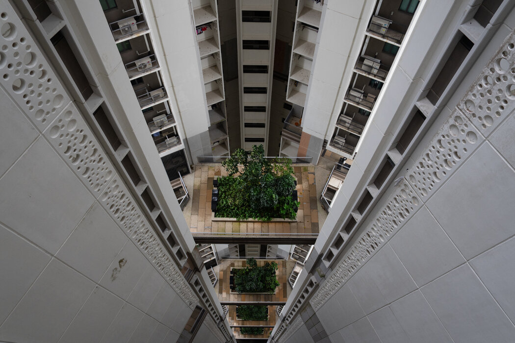 公共住宅樓樓層之間的綠化景觀。