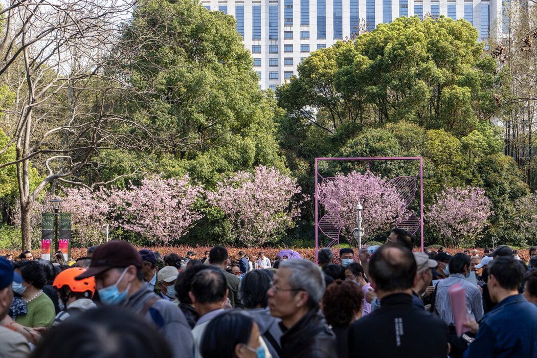 上海人民公園著名的相親角，攝於今年3月。