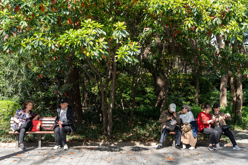 對於上海的老年人來說，在公園聚會是一件不可取代的事。每週都有數百人回到公園裡的老地方，希望能遇到未來的伴侶。