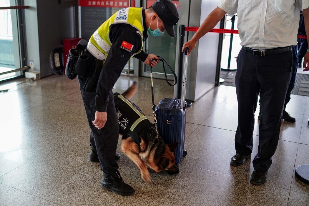 在昆明機場,一條警犬正在檢查行李箱。