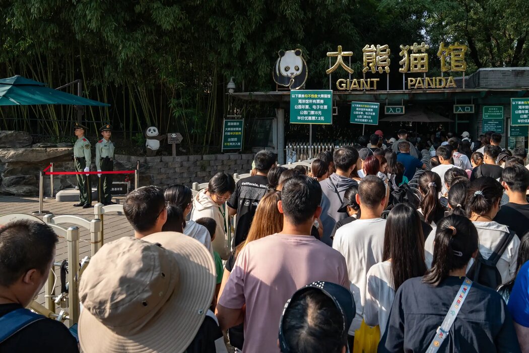 9月,遊客排隊進入北京動物園內的熊貓館。