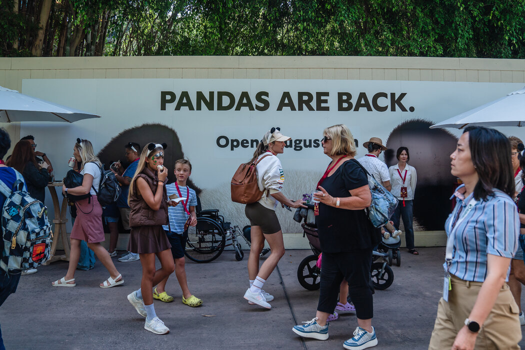 聖地亞哥動物園（上圖）今年夏天從中國引進了兩隻大熊貓。精心制定的合同規定了這些大熊貓交流的條款。