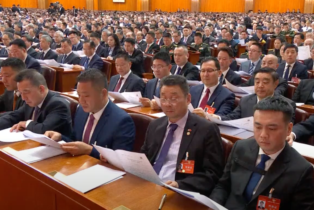 2024年3月,陳善庄(前排右二)在一個政府顧問機構的會議上,他是一個代表中國廣大海外僑民的小型代表團中唯一的美國人。