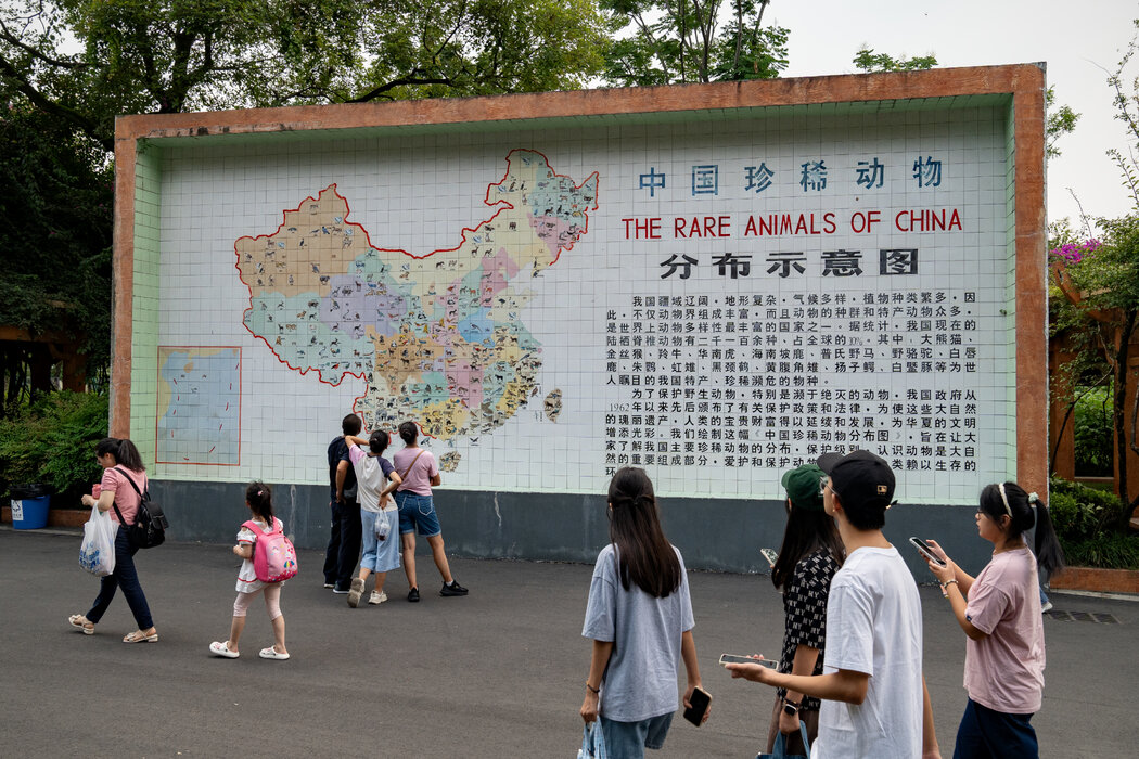成都動物園，這座城市被譽為「中國最具幸福感城市」。