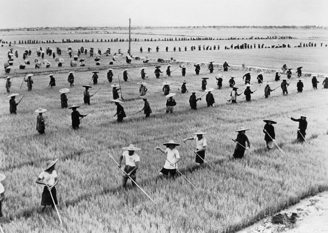 1958年,位於今廣東省境內的稻田。大饑荒於次年爆發。
