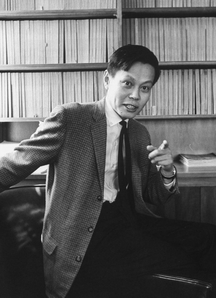 1963年的物理學家楊振寧。他的同事弗里曼·戴森曾說，楊振寧對數學之美的敏銳感受「能將他最不起眼的計算都化為微型藝術品」。