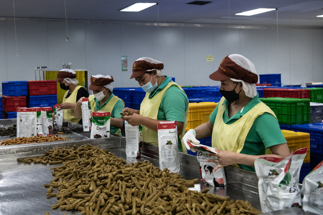 曼谷一家寵物食品工廠。每年有價值數十億美元的中國產品通過泰國及該地區其他國家流通。