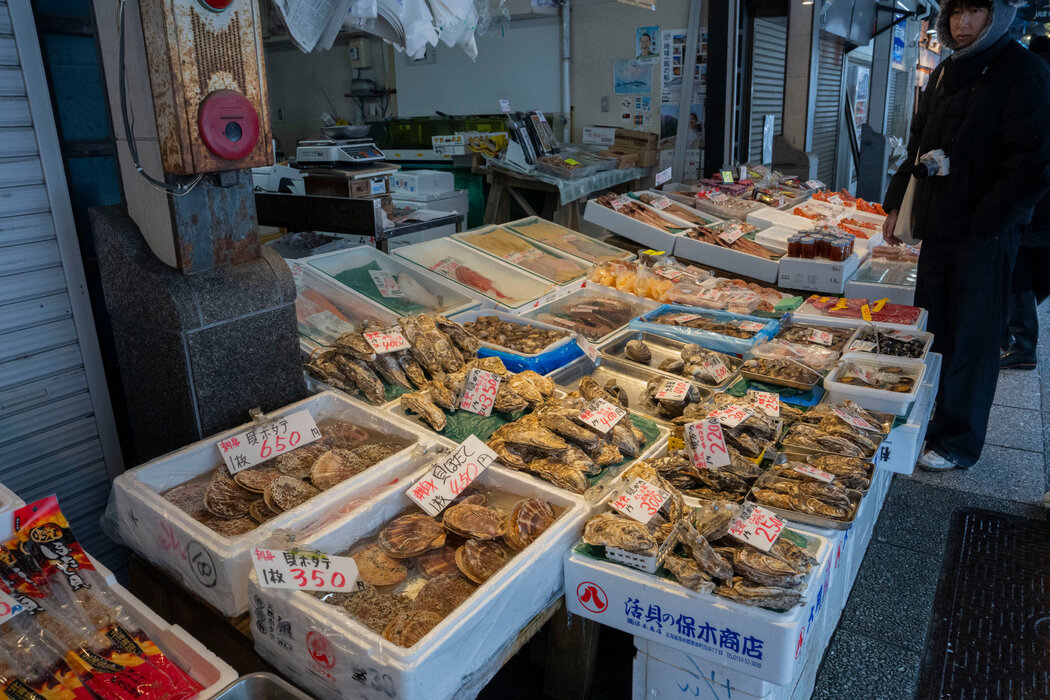 北海道札幌市場上出售的扇貝。北海道是日本最北端的島嶼，日本大部分扇貝產自這裡。