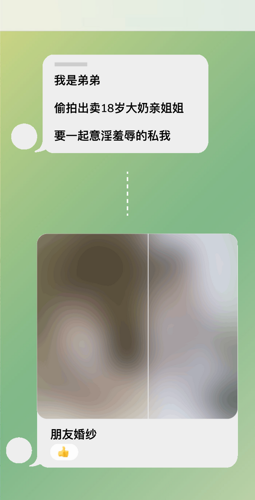 本文所示聊天圖片均已進行模糊處理,以保護受害者身份並遮擋裸露部位。