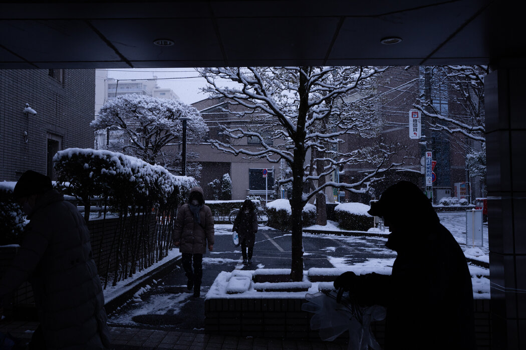 日本各地選民冒雪前往投票，包括週日在東京這個投票站投票的人們。