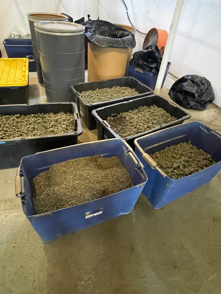 警方從紫光農場查獲了超過1200磅的加工大麻。