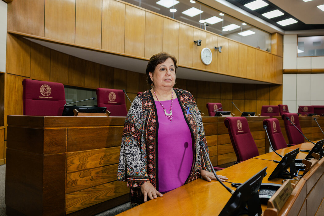 參議員埃斯佩蘭薩·馬丁內斯在參議院議事廳。她對巴拉圭的親台外交政策持批評態度。