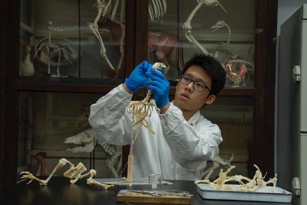 在台北就讀動物科學的黃姓大學生作為急救員參與民防訓練。
