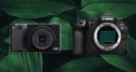 Two black digital cameras, one compact and one larger DSLR, are displayed side by side against a background of large green leaves. The compact camera is on the left, and the larger camera with no lens is on the right.