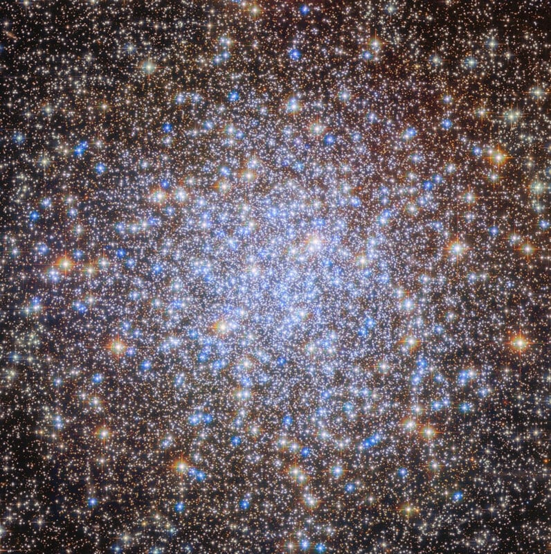 A dense cluster of bright stars, glowing in shades of blue, white, and gold, fills the image against a dark background, illustrating a star cluster in space.