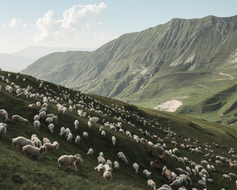 A large flock of sheep grazes on a green hillside with steep, grassy mountains and a partly cloudy sky in the background.