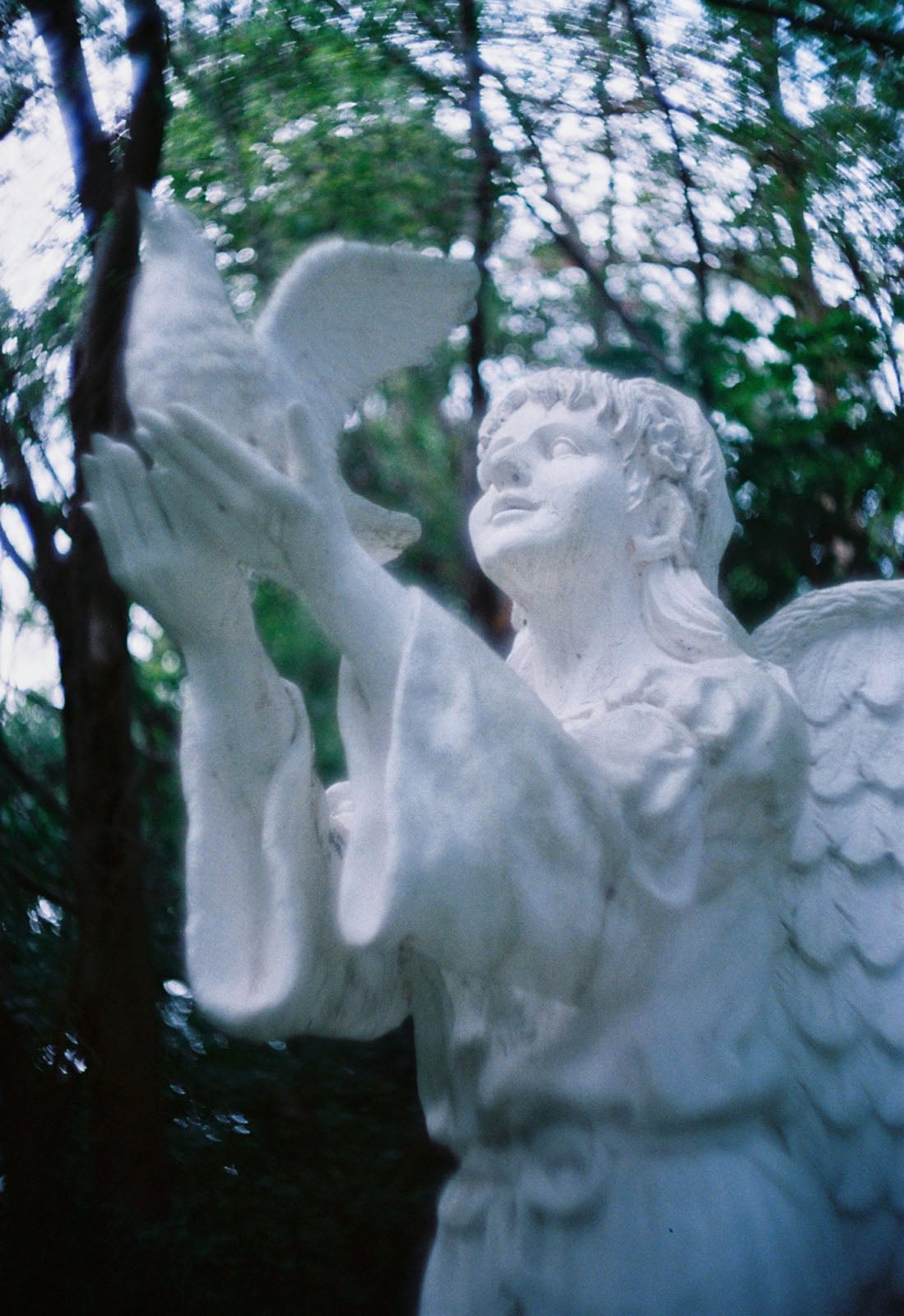 A white angel statue with wings holds a dove, looking upward. The background is filled with green, blurry trees, giving a peaceful, serene atmosphere.