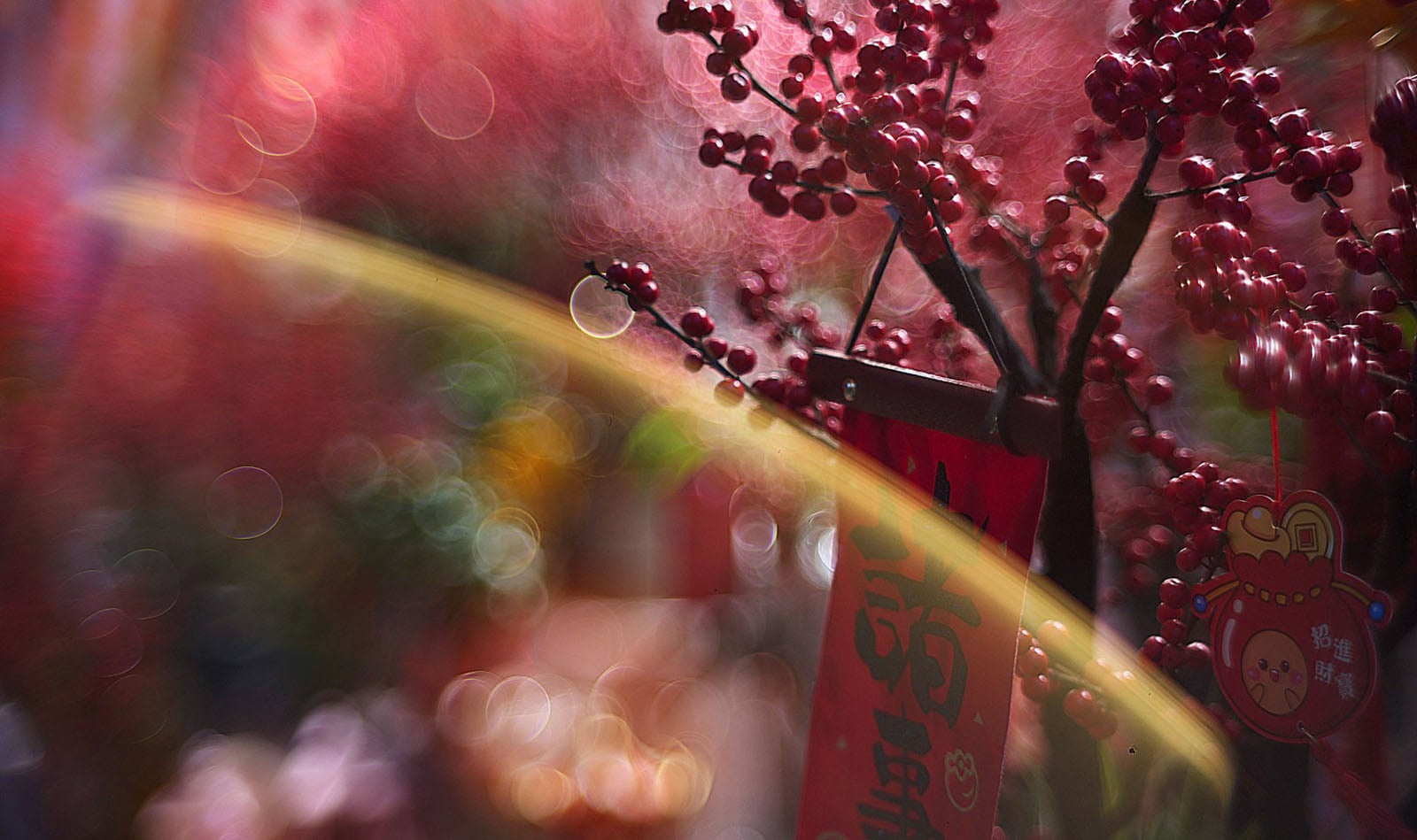 A close-up of red berries and a red festive tag with Chinese characters, blurred with bokeh lights and a soft, warm glow in the background.