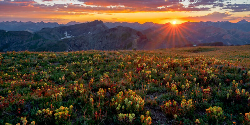 Sunrise over distant mountains with colorful wildflowers in the foreground, casting a warm golden light across the landscape under a partly cloudy sky.