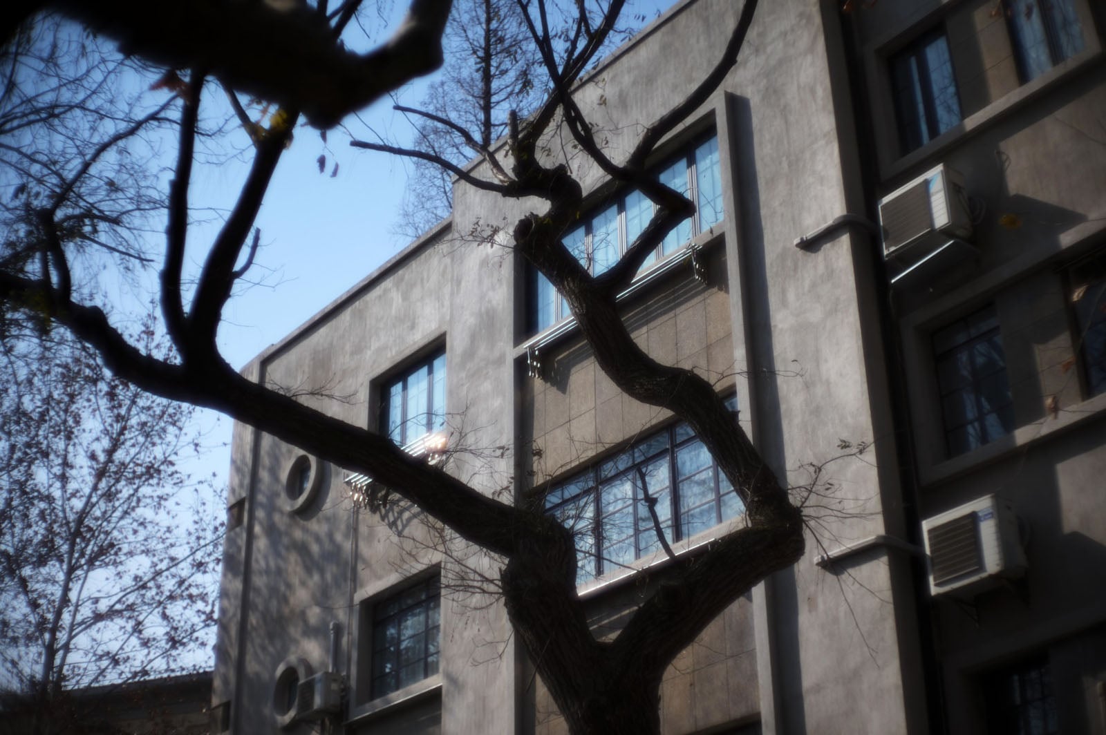 A leafless tree with twisted branches stands in front of a gray concrete building with large windows and air conditioning units, under a clear blue sky.