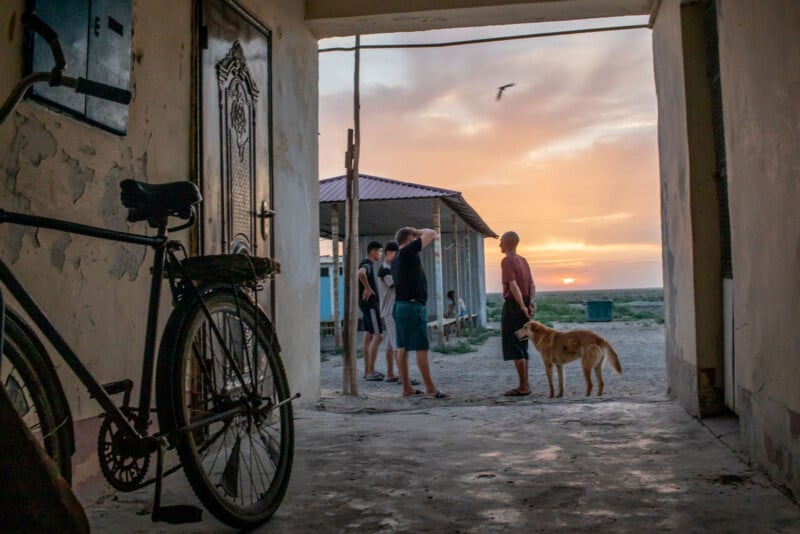 A group of people and a dog stand outside at sunset, viewed from inside a building with a bicycle leaning against the wall. A bird flies in the sky.