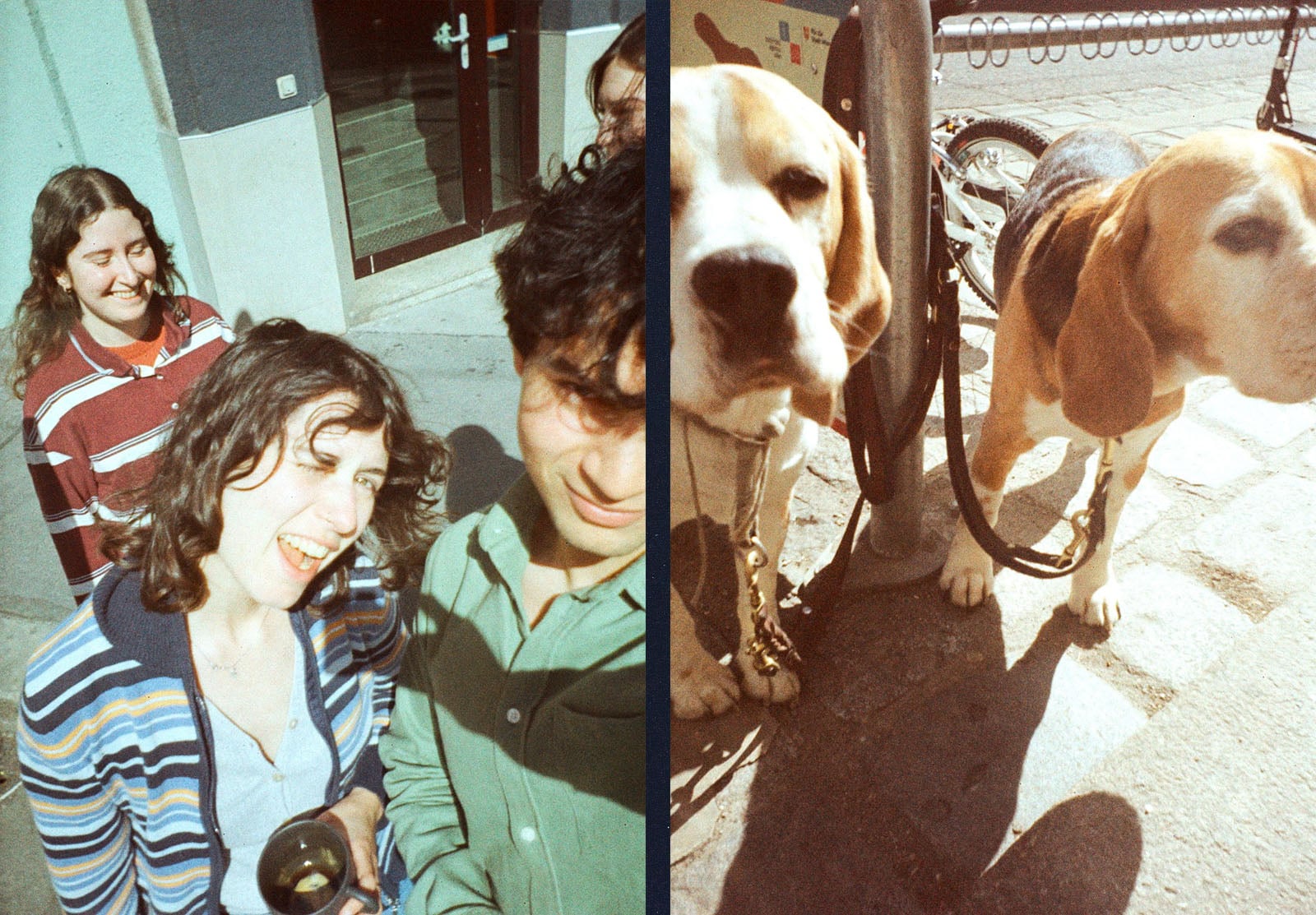A split image: left side shows three smiling people outdoors, taking a selfie; right side shows two Beagle dogs on leashes, standing on a sidewalk next to a bike rack.