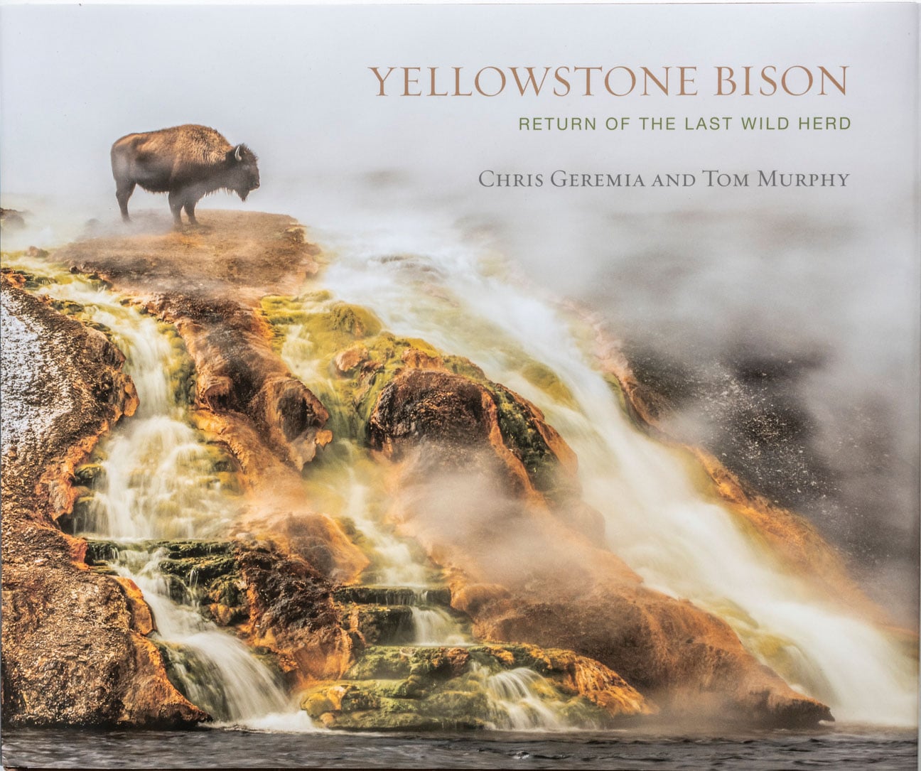 A bison stands on a misty, rocky slope with colorful hot springs, featured on the cover of the book "Yellowstone Bison: Return of the Last Wild Herd" by Chris Geremia and Tom Murphy.
