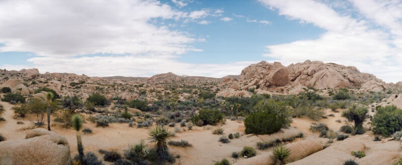 A wide desert landscape with scattered shrubs, cacti, and large rocky formations under a partly cloudy blue sky. The scene is dry and expansive, typical of a desert environment.