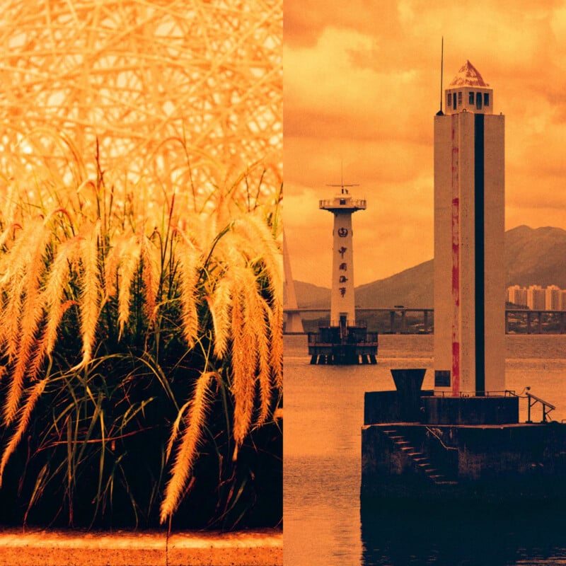 Split image: on the left, tall grass with feathery plumes under bright sunlight; on the right, two lighthouses by the water with distant buildings and mountains under an orange-tinted sky.