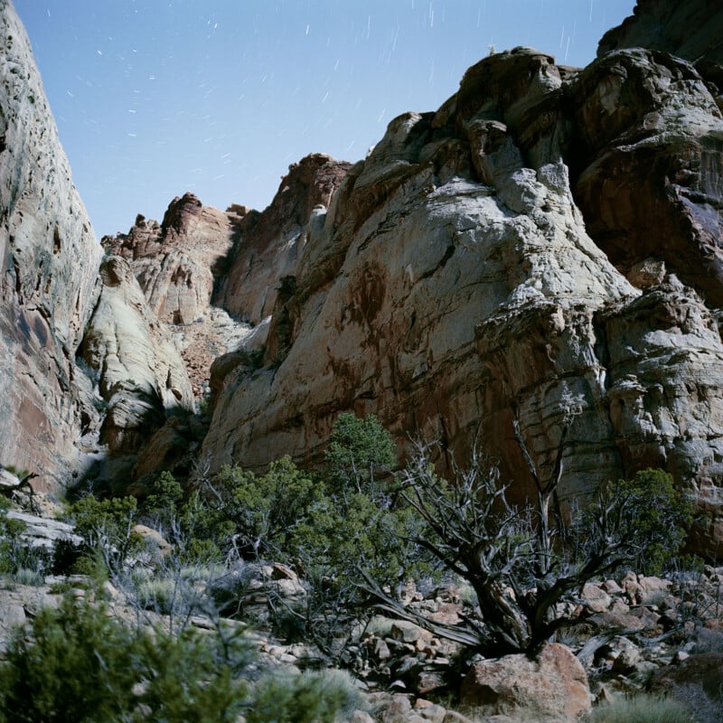 Rocky canyon walls rise under a night sky with star trails, while sparse green vegetation and a gnarled tree fill the foreground.