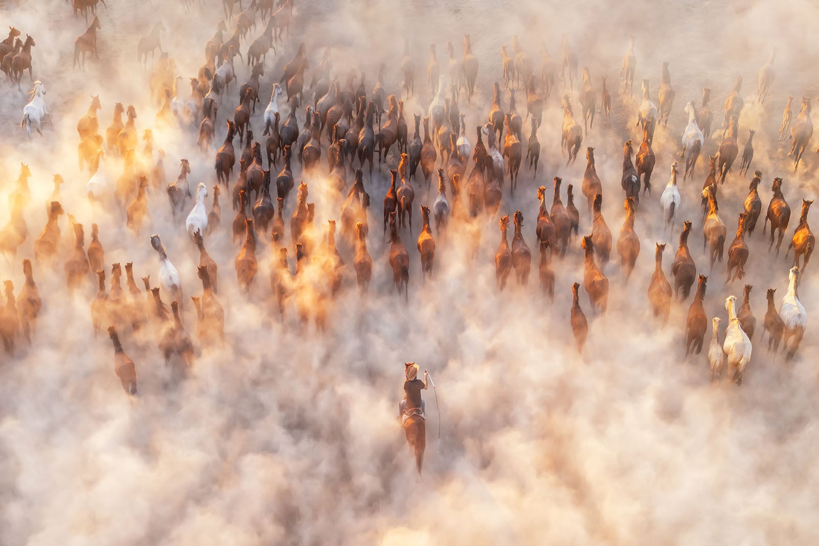 A herd of horses, seen from above, moves through swirling dust clouds as a lone rider on horseback guides them forward, with sunlight filtering through the haze.