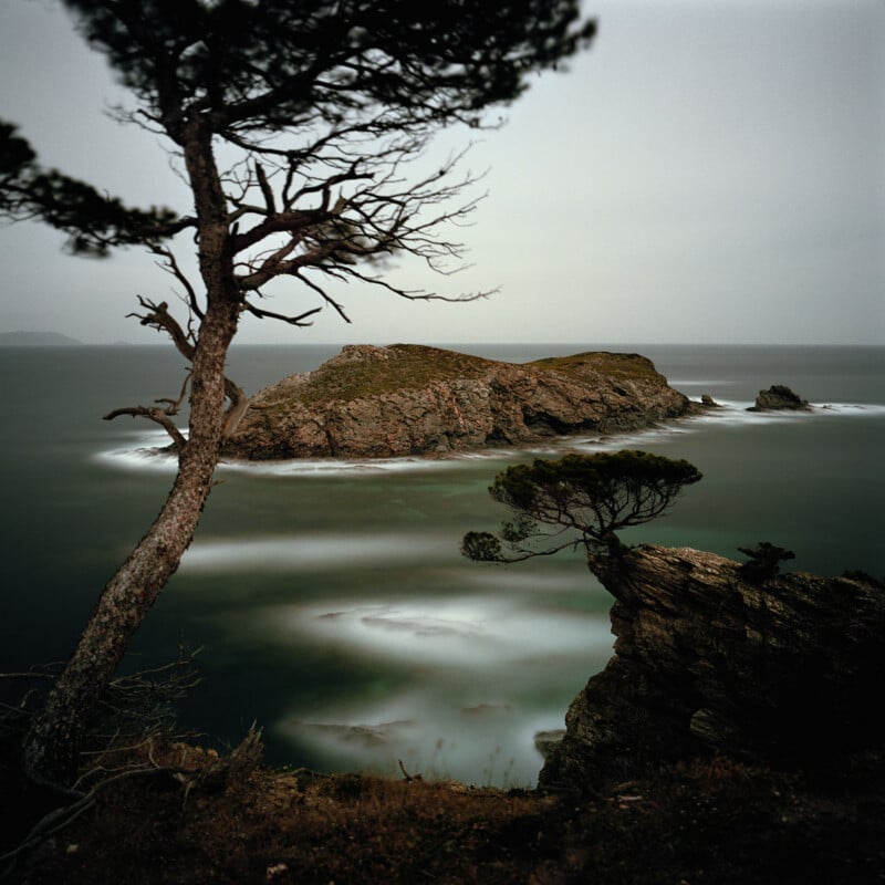 A rocky island rises from misty ocean waters, framed by windswept trees on a rugged coastline under an overcast sky.